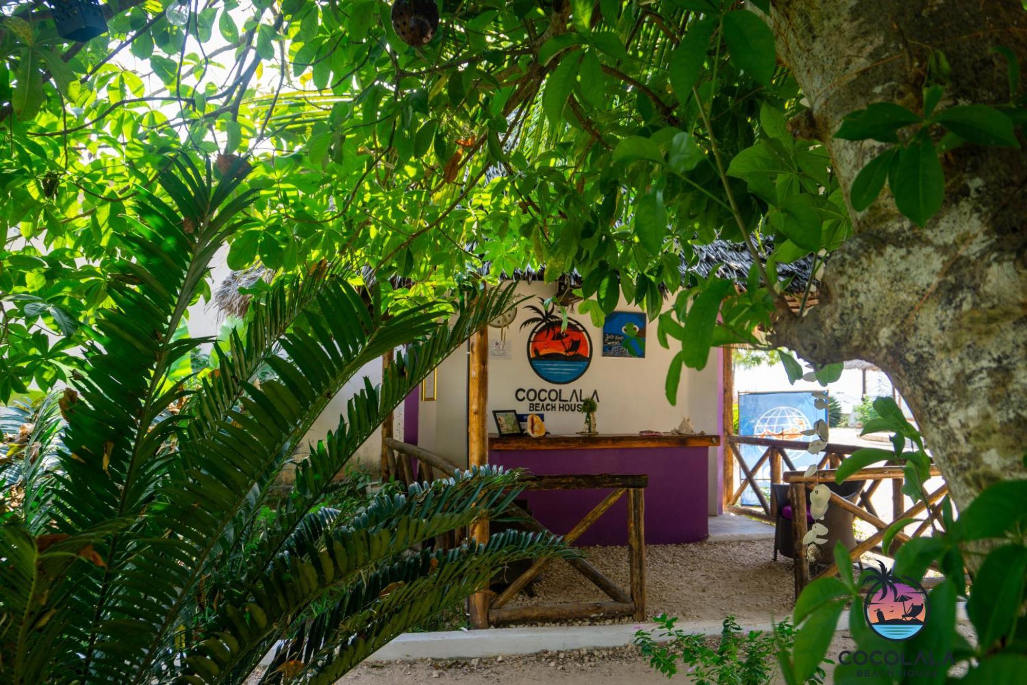 Cocolala Beach House Nungwi Zewnętrze zdjęcie